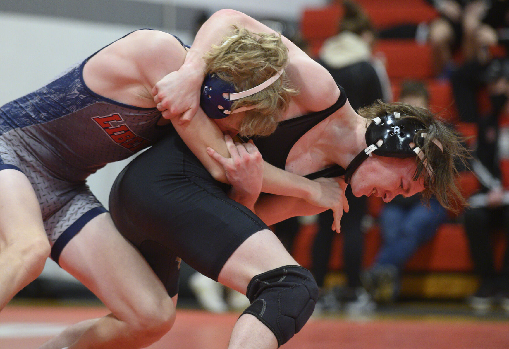 Gateway Athletic Conference North/Central tournament